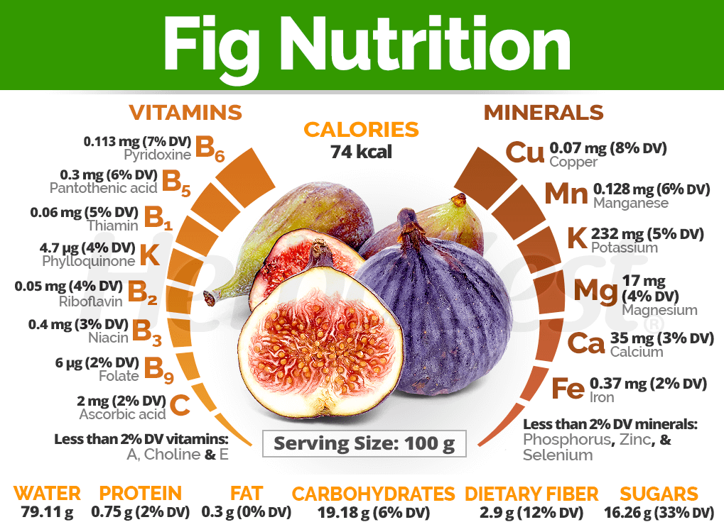 Health Benefits of Figs