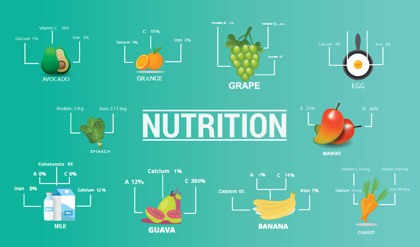 What are the basic concepts of nutrition?