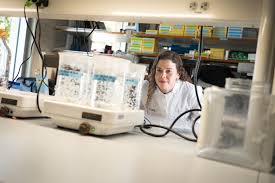 Exploring New Innovations in Cardiology for Treating Heart Disease