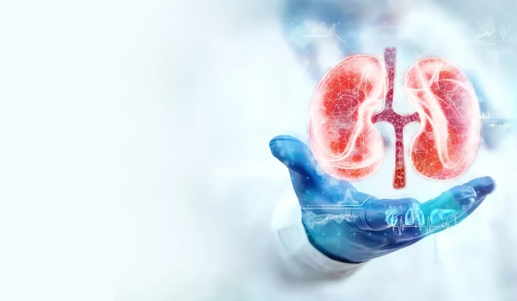 Common Urological Conditions and Their Treatments